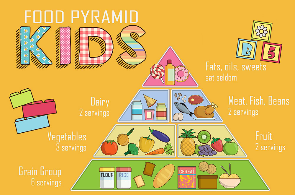 piramide alimentare svezzamento bambino